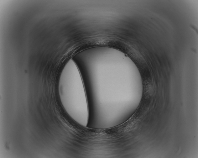 X0000098020262200803280759