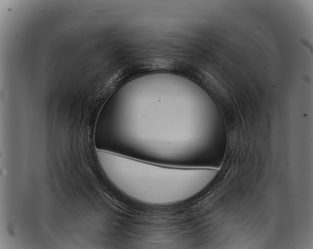 X0000098020264200803280759