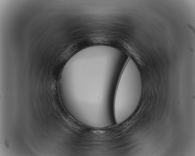 X0000098020265200803280759