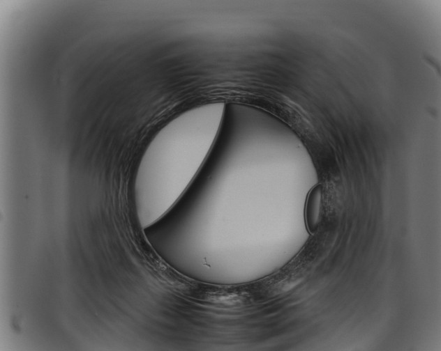 X0000098020267200803280800