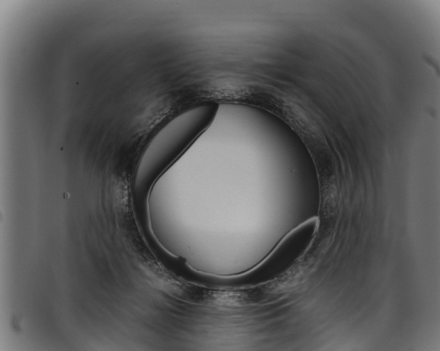X0000098020268200803280800