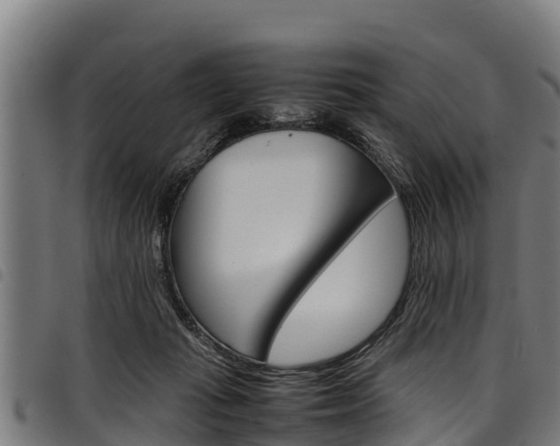 X0000098020269200803280800