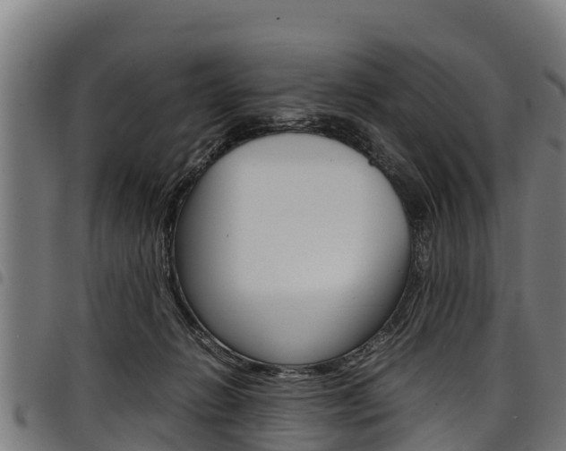X0000098020270200803280800