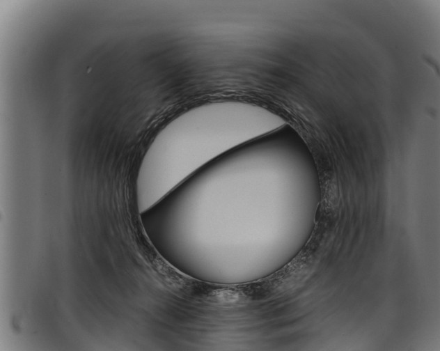 X0000098020272200803280800