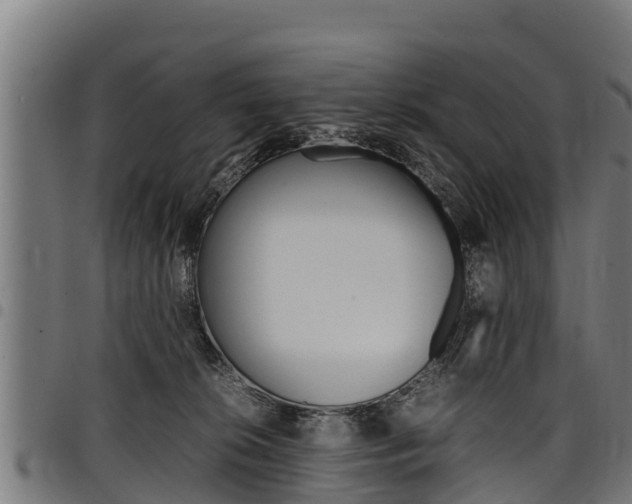X0000098020276200803280800