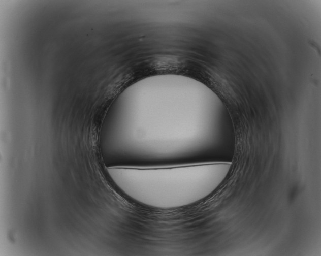 X0000098020277200803280800