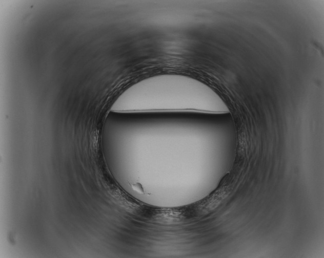 X0000098020278200803280800