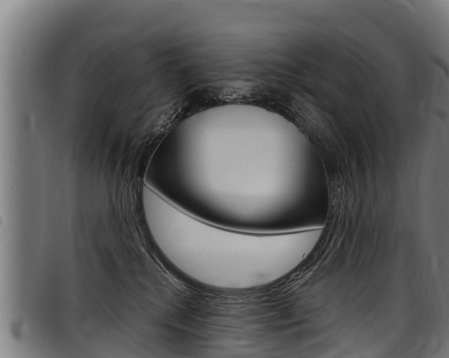 X0000098020280200803280800