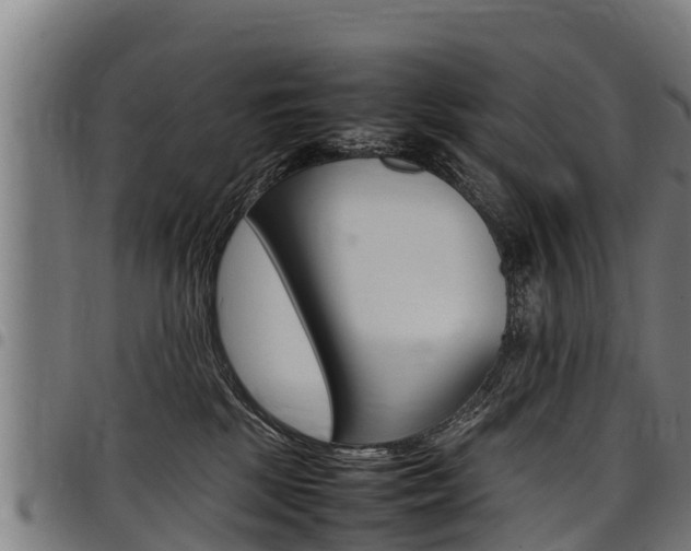 X0000098020281200803280800