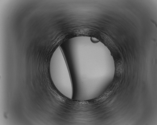 X0000098020282200803280800