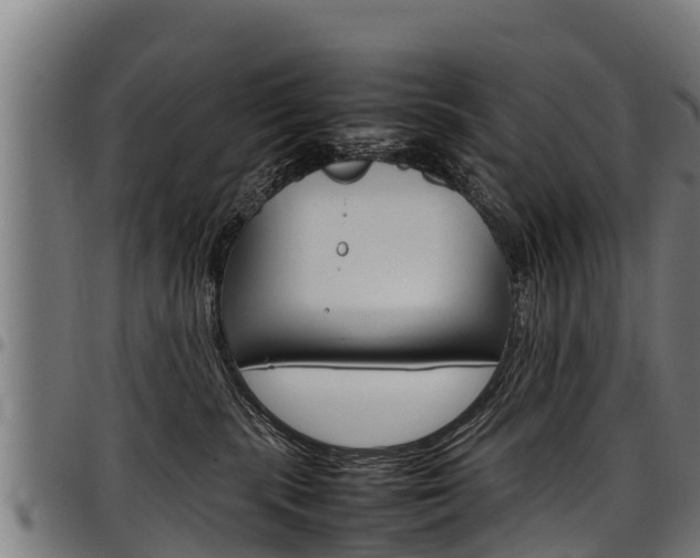 X0000098020283200803280800