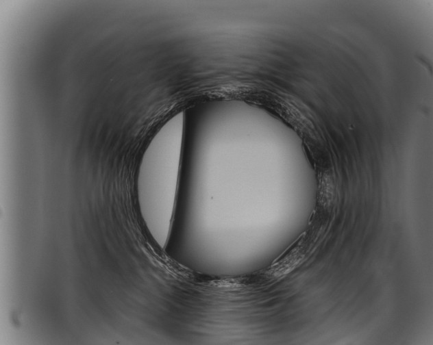 X0000098020284200803280800