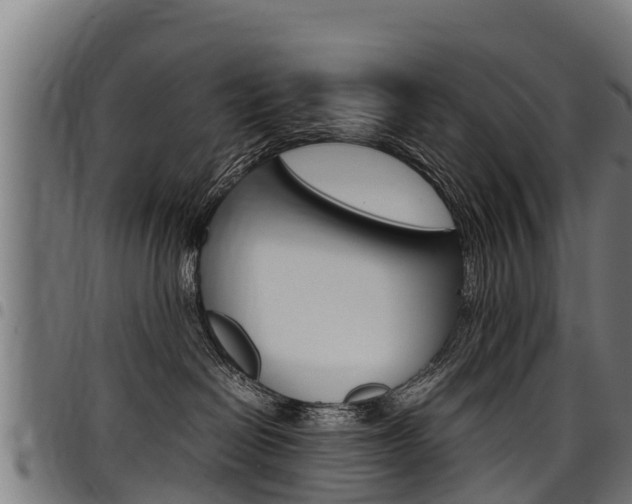 X0000098020286200803280800
