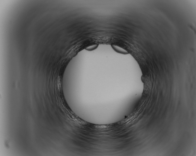 X0000098020287200803280800