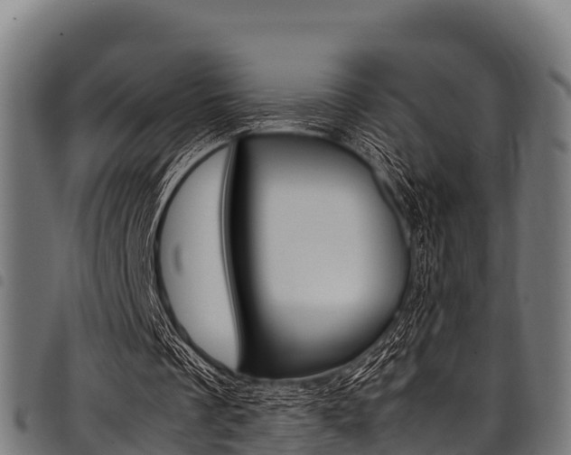 X0000098020289200803280759