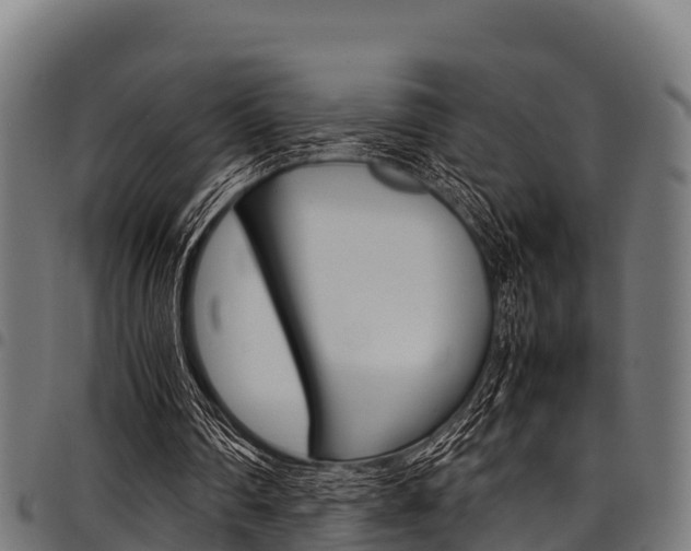 X0000098020290200803280759