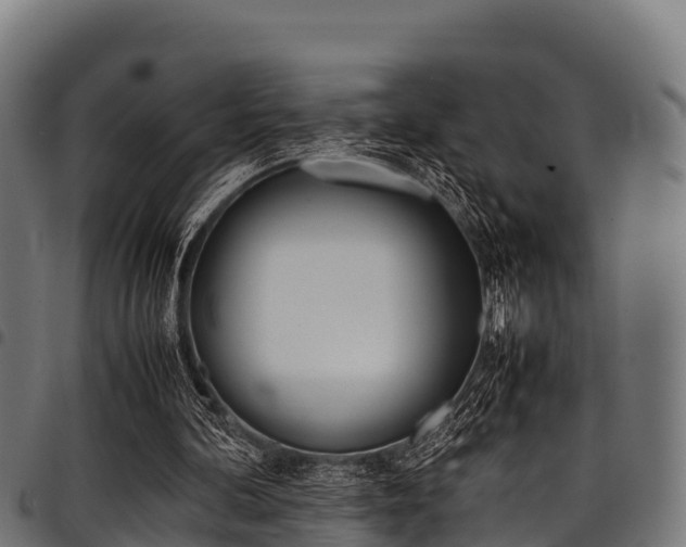 X0000098020292200803280759