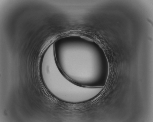 X0000098020293200803280759