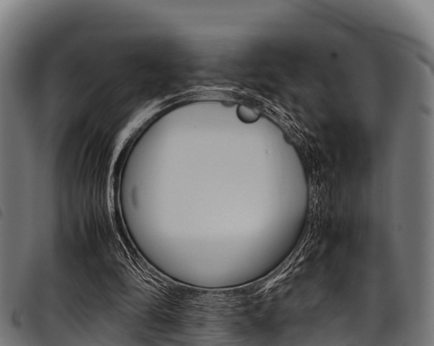 X0000098020294200803280759