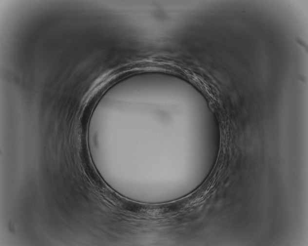 X0000098020295200803280759