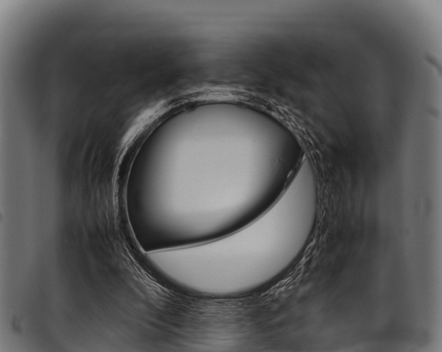 X0000098020296200803280759
