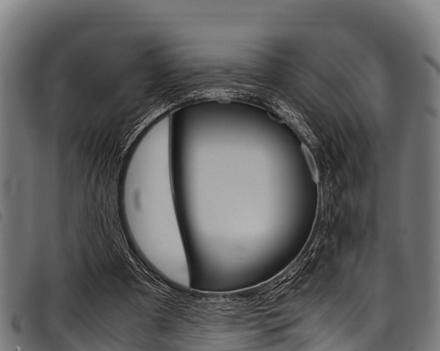 X0000098020297200803280759