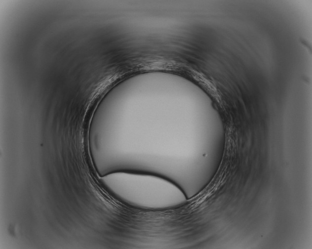 X0000098020298200803280759