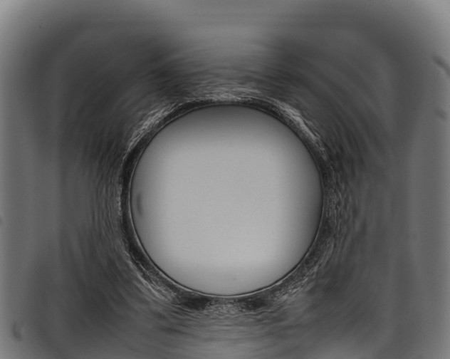X0000098020299200803280759