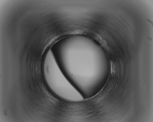 X0000098020300200803280759