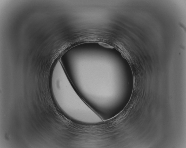 X0000098020301200803280759