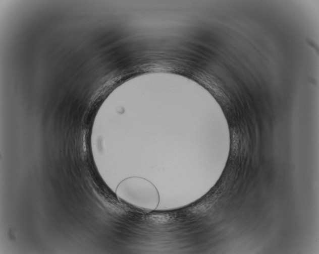 X0000098020302200803280759