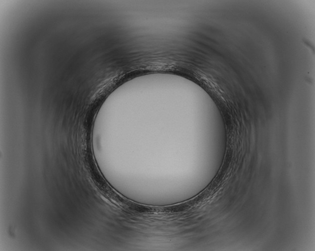 X0000098020303200803280759