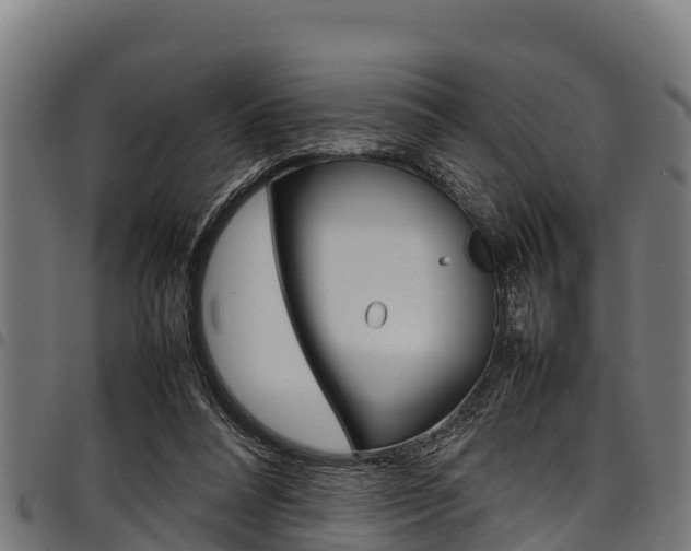 X0000098020304200803280759