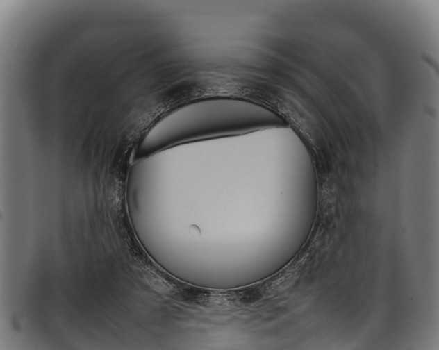X0000098020305200803280759