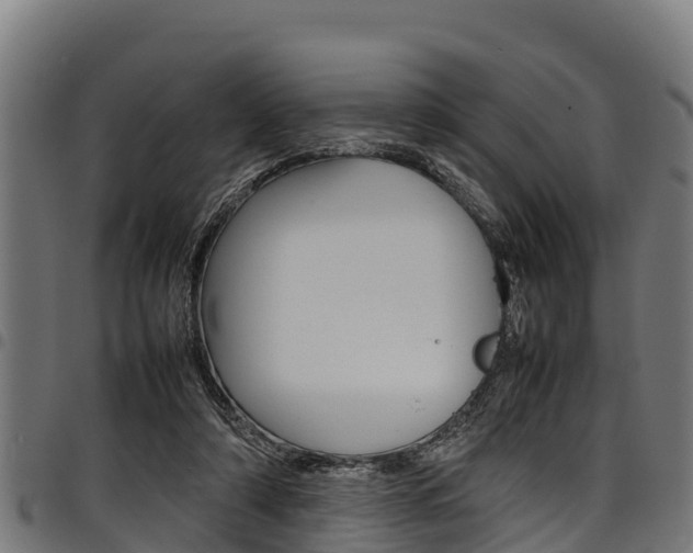 X0000098020306200803280759