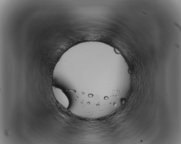 X0000098020307200803280759