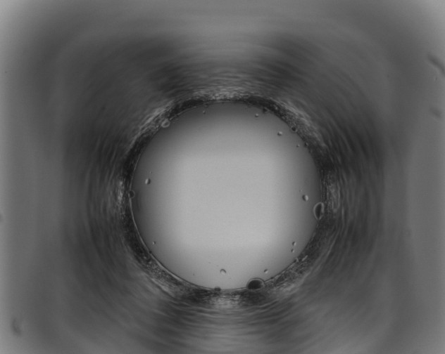 X0000098020308200803280759