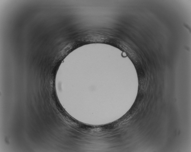 X0000098020309200803280759