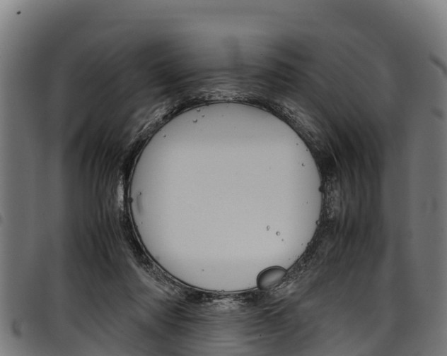 X0000098020310200803280759