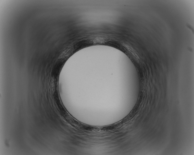X0000098020311200803280759