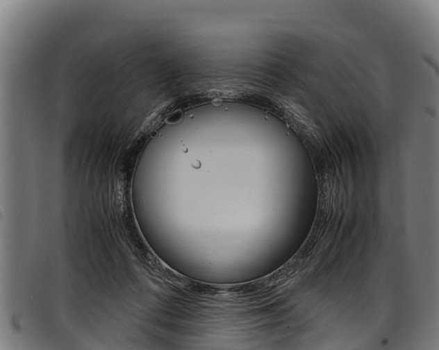 X0000098020312200803280759