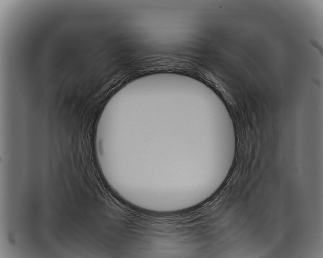 X0000098020313200803280759