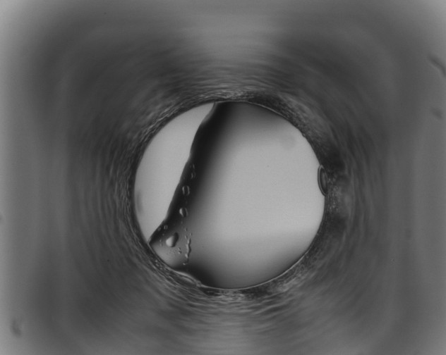 X0000098020317200803280759