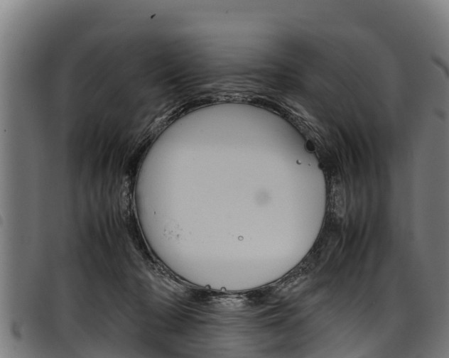 X0000098020318200803280759
