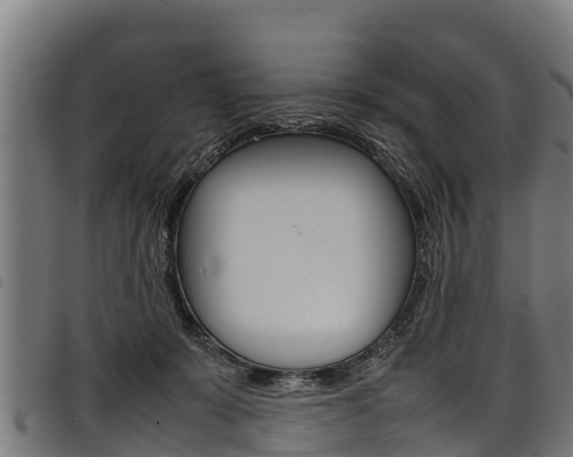 X0000098020319200803280759