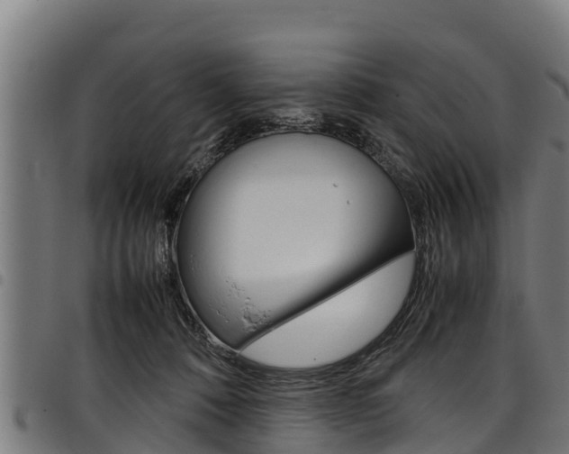 X0000098020320200803280759