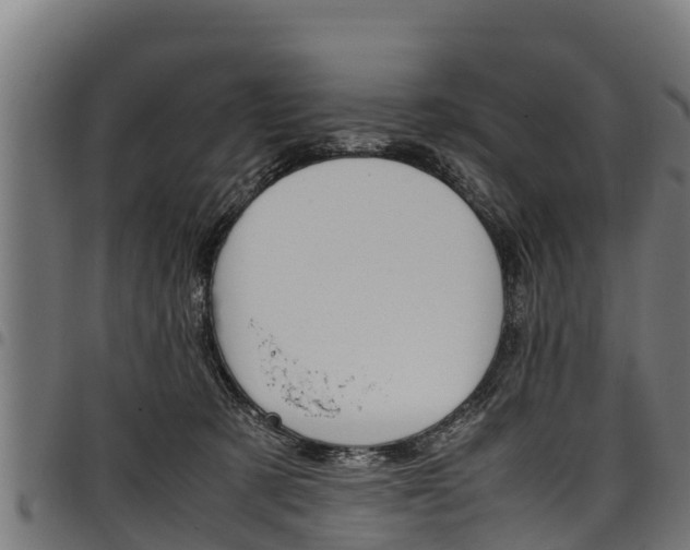 X0000098020321200803280759