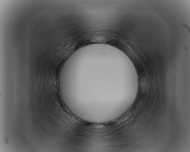 X0000098020322200803280759
