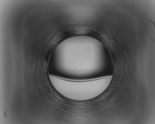 X0000098020325200803280759