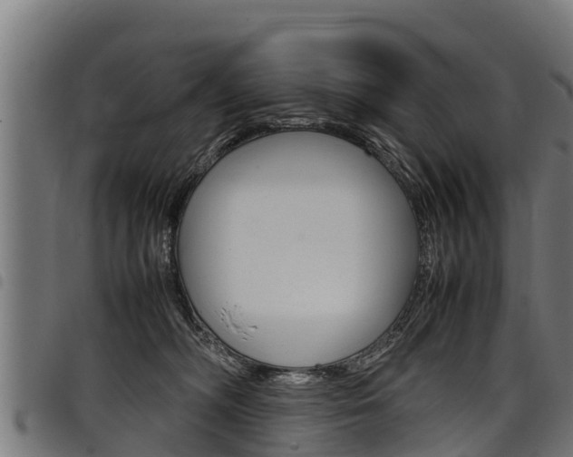 X0000098020326200803280759